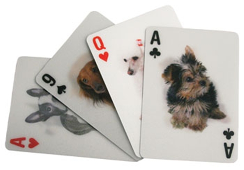3D Dog Playing Cards